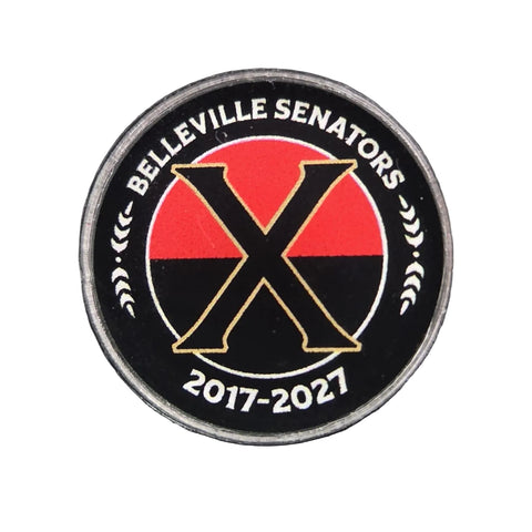 Lapel Pin - 10th Anniversary