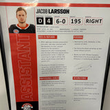 Previous Years Player Poster
