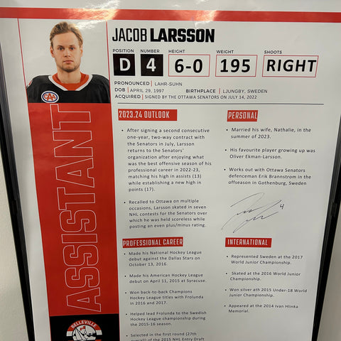 Previous Years Player Poster
