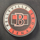 Souvenir Puck 2025-26